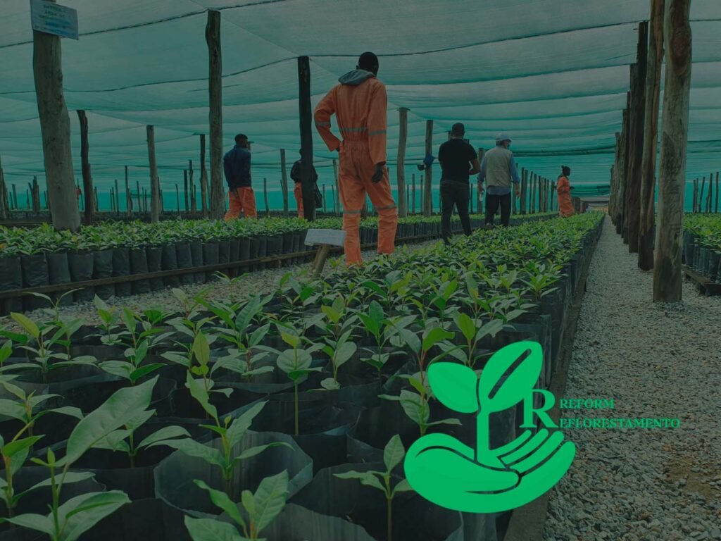 Sobre Reform reflorestamento