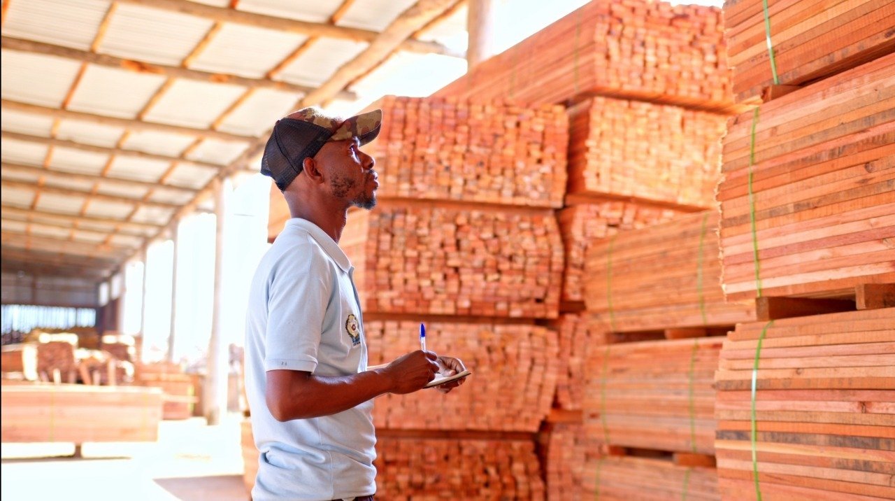 Industria Madeireira